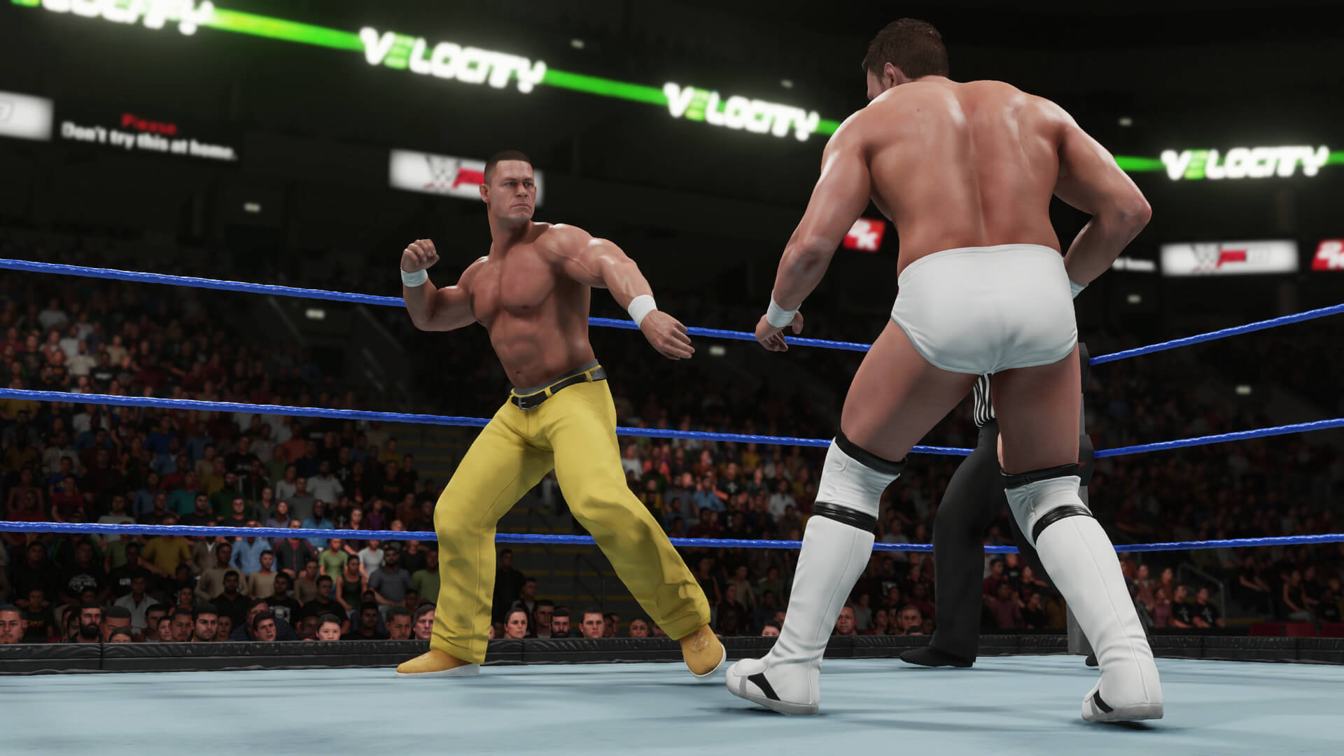 WWE 2K19 Torrent Download